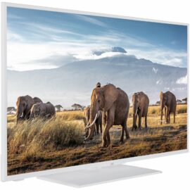 Das Bild zeigt den JVC LT-43VF5155W LED-Fernseher, auf dessen Bildschirm eine Szene mit Elefanten vor dem Kilimandscharo abgebildet ist. Der Zweck des Bildes ist es, die Bildqualität und das Design des Fernsehers zu präsentieren. Der TV steht auf einem weißen Untergrund und hebt sich mit seinem schmalen Rahmen und der klaren Bilddarstellung hervor.