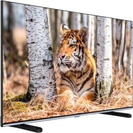 Das Bild zeigt einen JVC LT-43VFE5155 LED-Fernseher mit einem scharfen und farbenfrohen Bildschirm, der einen Tiger darstellt, welcher sich entspannt in einem natürlichen Waldgebiet zwischen Birkenbäumen befindet. Der Zweck des Bildes ist es wahrscheinlich, die Bildqualität und das Design des Fernsehers zu demonstrieren, indem ein lebensechtes und ansprechendes Bild gezeigt wird.
